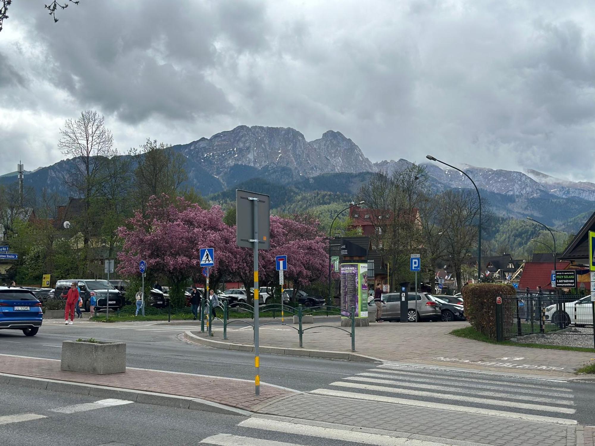 Lesny Dworek Zakopane Buitenkant foto